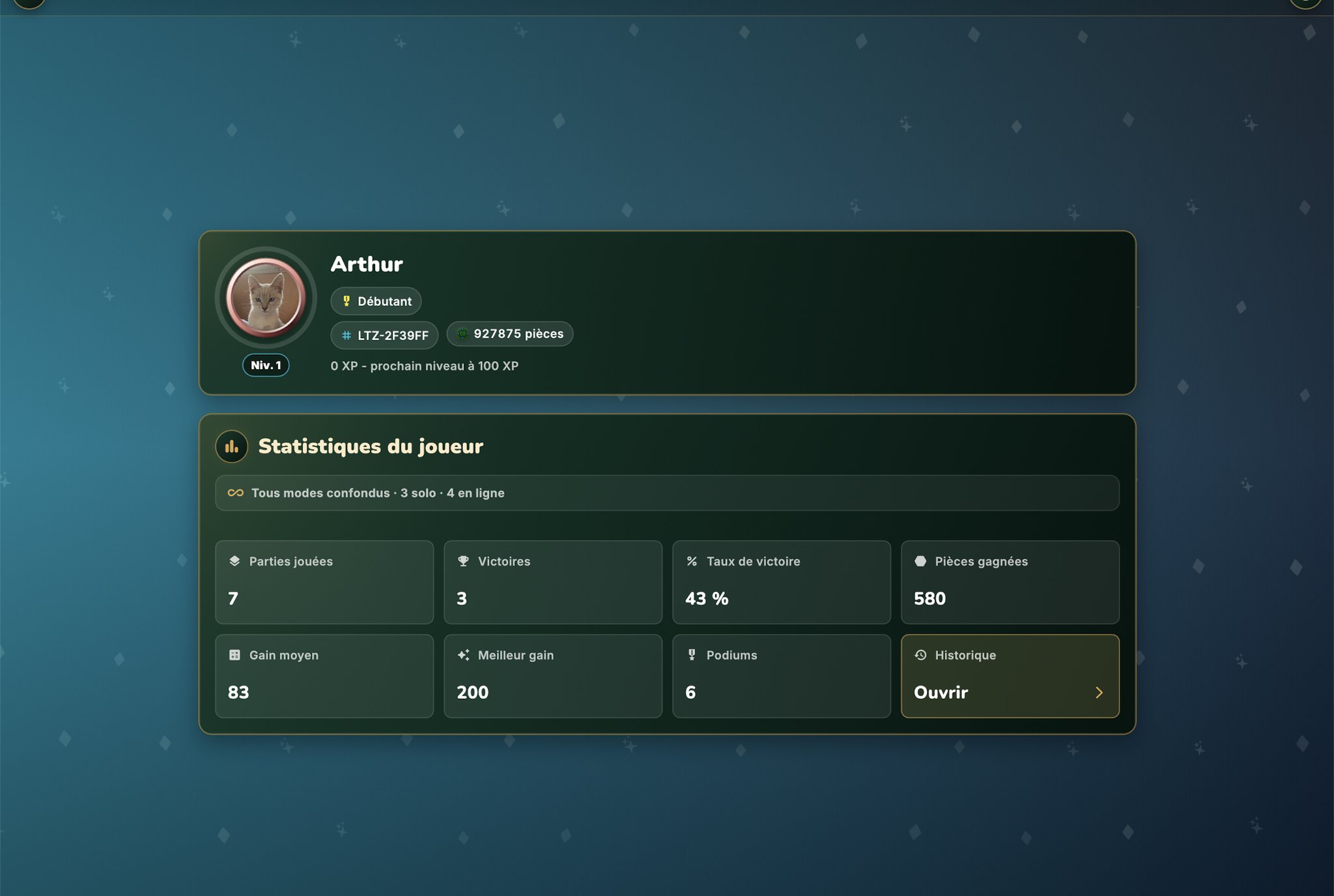 Profil du 13 sur iPad : niveau, pièces et les huit tuiles de statistiques du joueur